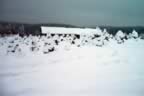 Snow (133kb)